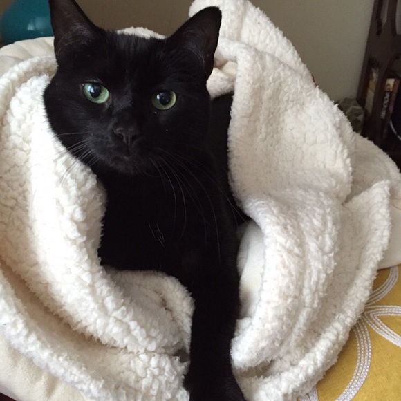 Meet your Posher, KC - Picture 6 of 6